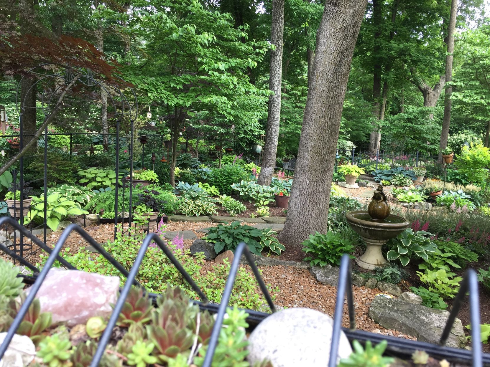 Second Place, Best Home Garden by an Amateur